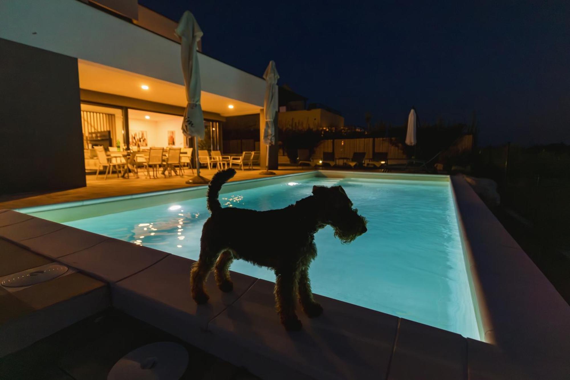 Villa Boiky - Private Pool And Amazing Sea View, Istria Materada ภายนอก รูปภาพ