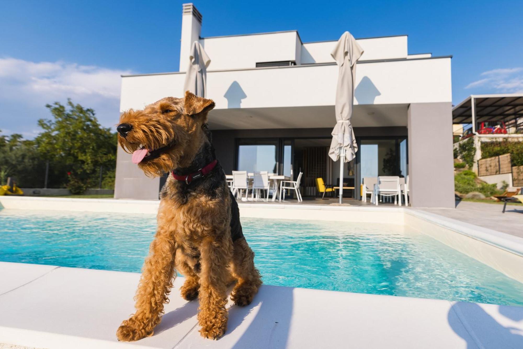 Villa Boiky - Private Pool And Amazing Sea View, Istria Materada ภายนอก รูปภาพ
